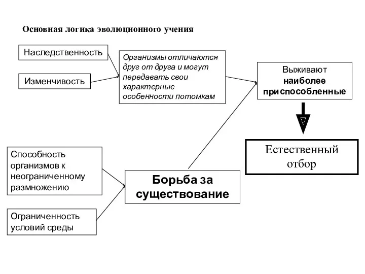 Основная логика эволюционного учения Наследственность Изменчивость Способность организмов к неограниченному размножению Ограниченность условий