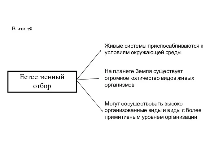 Естественный отбор В итоге: Живые системы приспосабливаются к условиям окружающей среды На планете