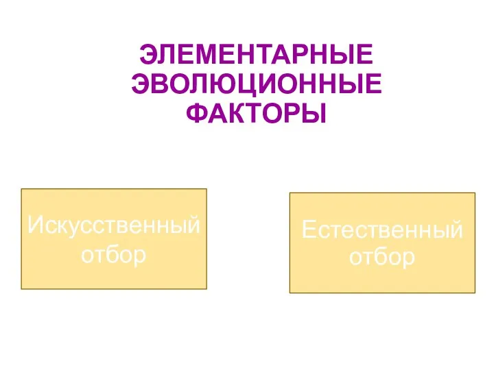 Искусственный отбор ЭЛЕМЕНТАРНЫЕ ЭВОЛЮЦИОННЫЕ ФАКТОРЫ Естественный отбор