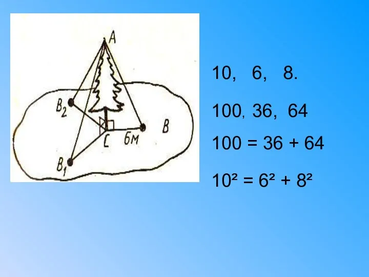 10, 6, 8. 100, 36, 64 100 = 36 + 64 10² = 6² + 8²