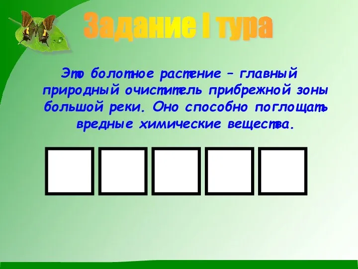 Это болотное растение – главный природный очиститель прибрежной зоны большой