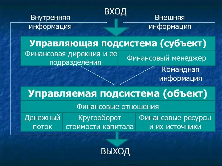 Управляющая подсистема (субъект) Финансовая дирекция и ее подразделения Финансовый менеджер