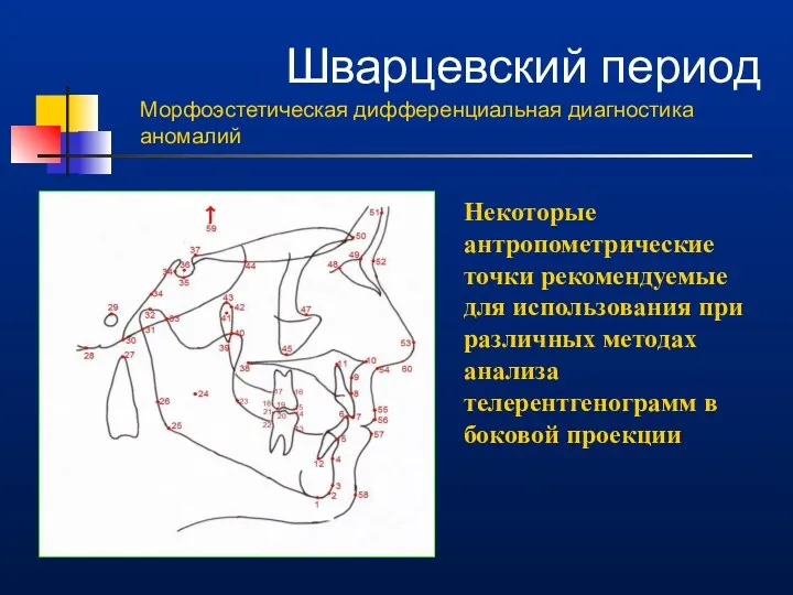 Шварцевский период Морфоэстетическая дифференциальная диагностика аномалий Некоторые антропометрические точки рекомендуемые