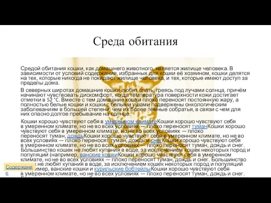 Среда обитания Средой обитания кошки, как домашнего животного, является жилище