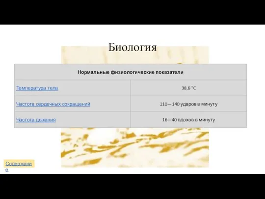 Биология Содержание