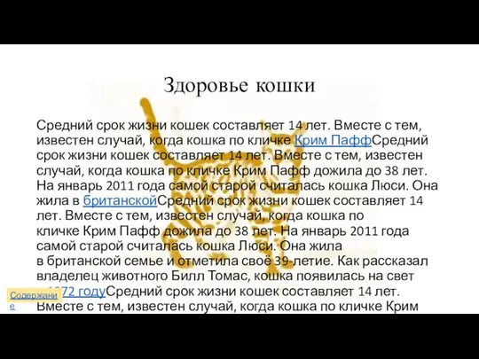 Здоровье кошки Средний срок жизни кошек составляет 14 лет. Вместе