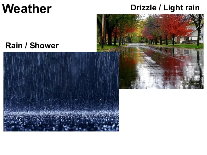 Weather Rain / Shower Drizzle / Light rain