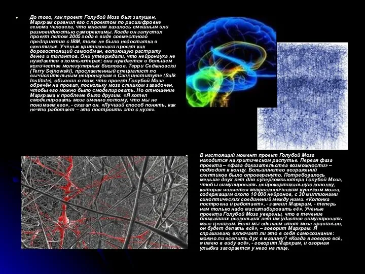 До того, как проект Голубой Мозг был запущен, Маркрам сравнил