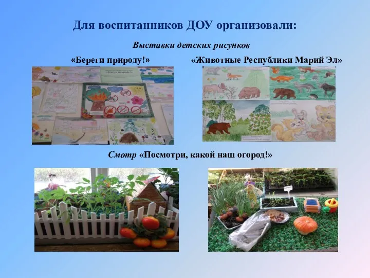 Для воспитанников ДОУ организовали: Выставки детских рисунков «Береги природу!» «Животные