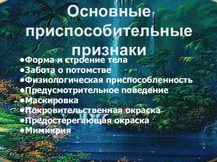 Форма и строение тела Забота о потомстве Физиологическая приспособленность Предусмотрительное