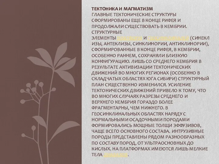 ТЕКТОНИКА И МАГМАТИЗМ ГЛАВНЫЕ ТЕКТОНИЧЕСКИЕ СТРУКТУРЫ СФОРМИРОВАНЫ ЕЩЕ В КОНЦЕ