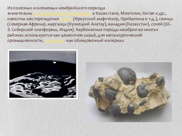 Из полезных ископаемых кембрийского периода значительны месторождения фосфоритов в Казахстане,