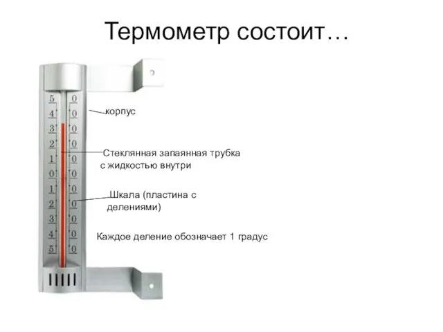 Термометр состоит… корпус Шкала (пластина с делениями) Стеклянная запаянная трубка