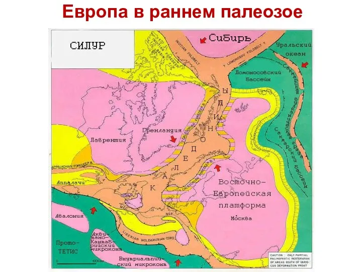 Европа в раннем палеозое