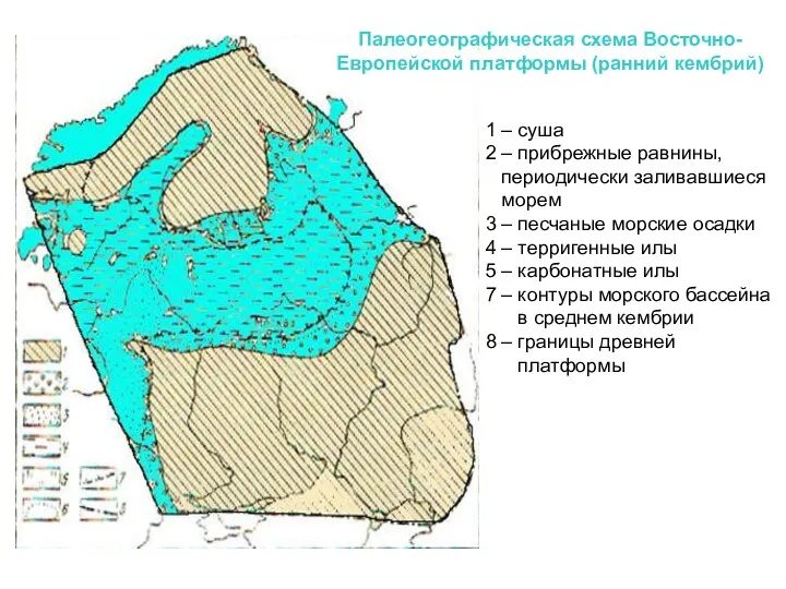 Палеогеографическая схема Восточно-Европейской платформы (ранний кембрий) 1 – суша 2