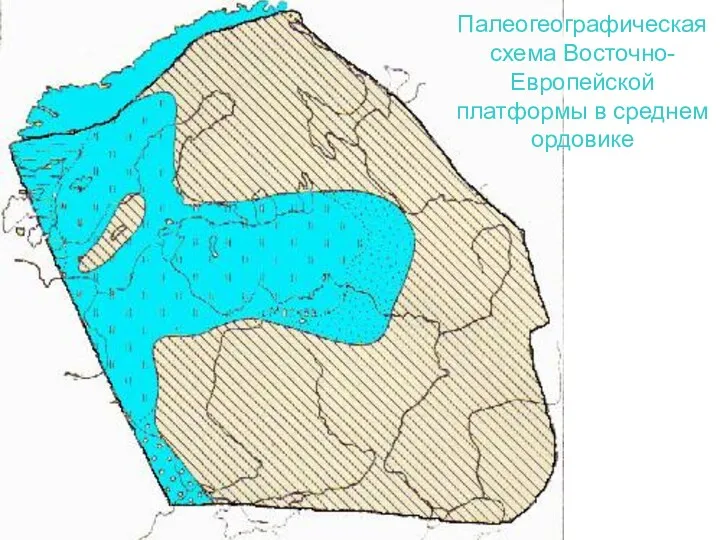 Палеогеографическая схема Восточно-Европейской платформы в среднем ордовике