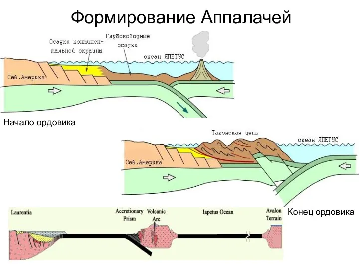 Формирование Аппалачей Начало ордовика Конец ордовика