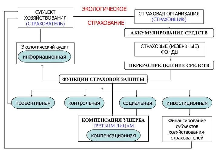 СУБЪЕКТ ХОЗЯЙСТВОВАНИЯ (СТРАХОВАТЕЛЬ) Экологический аудит СТРАХОВАЯ ОРГАНИЗАЦИЯ (СТРАХОВЩИК) СТРАХОВЫЕ (РЕЗЕРВНЫЕ)