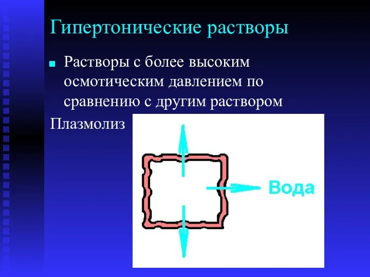 Гипертонические растворы Растворы с более высоким осмотическим давлением по сравнению с другим раствором Плазмолиз