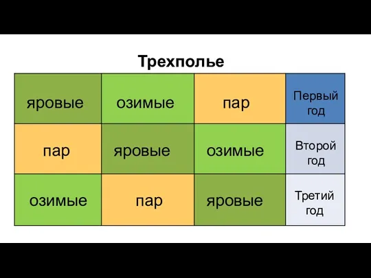 Трехполье яровые яровые яровые озимые озимые озимые пар пар пар Первый год Второй год Третий год