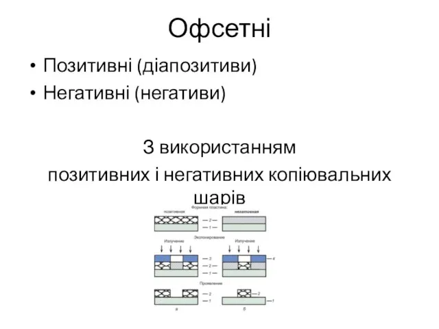 Офсетні Позитивні (діапозитиви) Негативні (негативи) З використанням позитивних і негативних копіювальних шарів