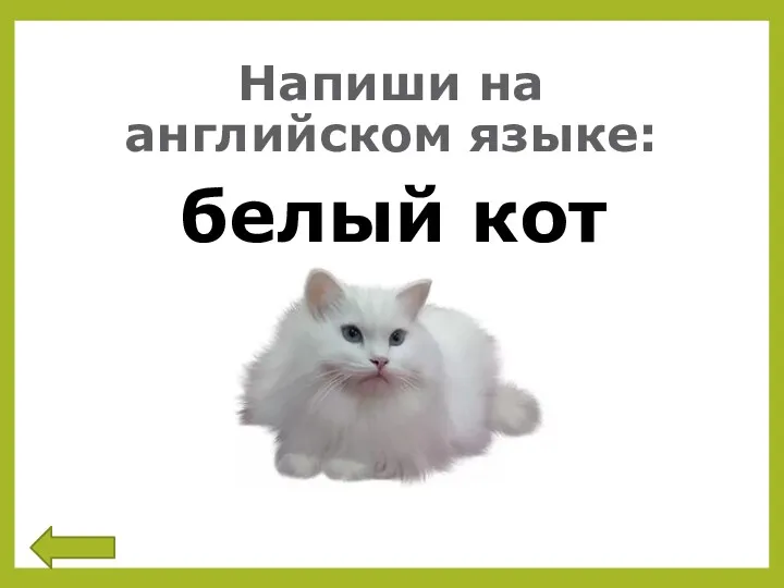 Напиши на английском языке: белый кот