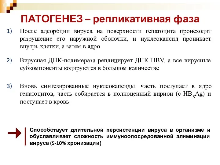 После адсорбции вируса на поверхности гепатоцита происходит разрушение его наружной