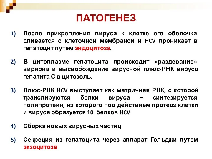 После прикрепления вируса к клетке его оболочка сливается с клеточной