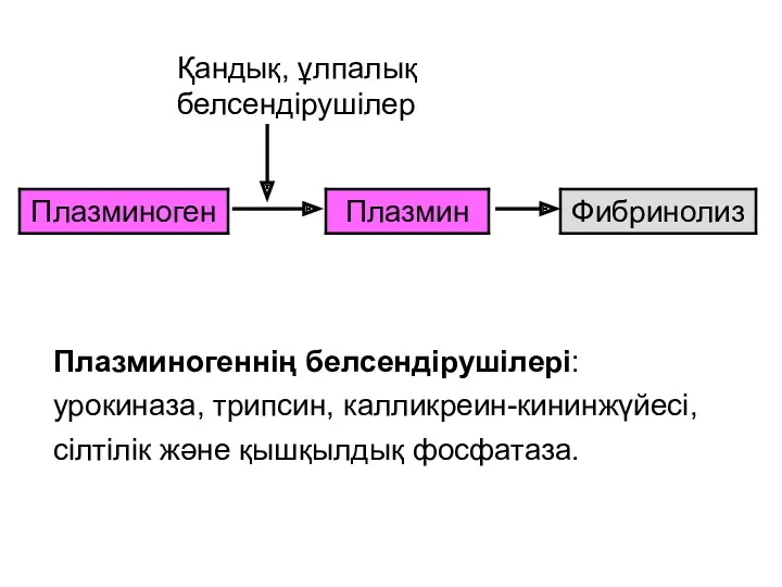 Қандық, ұлпалық белсендірушілер Плазминогеннің белсендірушілері: урокиназа, трипсин, калликреин-кининжүйесі, сілтілік және қышқылдық фосфатаза.