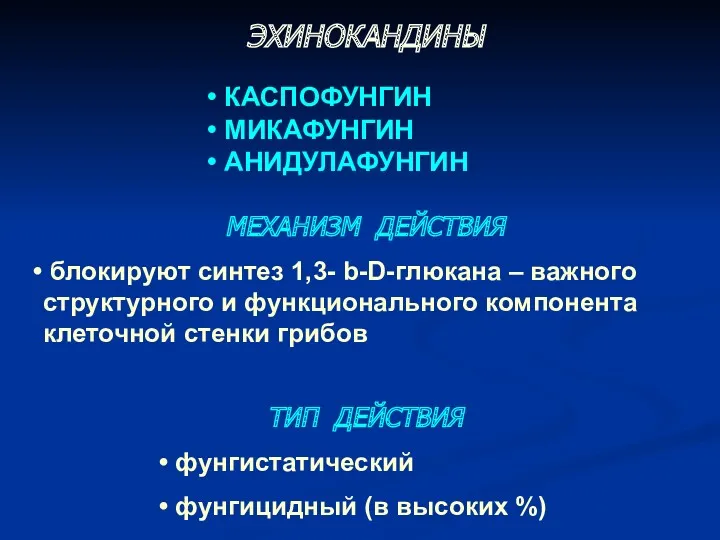 ЭХИНОКАНДИНЫ КАСПОФУНГИН МИКАФУНГИН АНИДУЛАФУНГИН МЕХАНИЗМ ДЕЙСТВИЯ блокируют синтез 1,3- b-D-глюкана