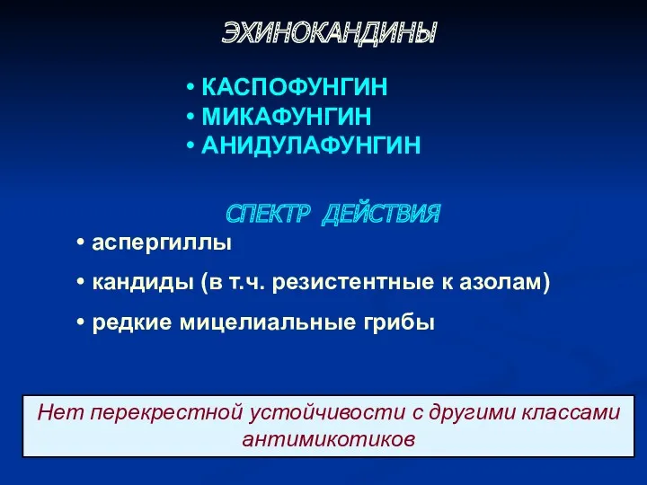 СПЕКТР ДЕЙСТВИЯ аспергиллы кандиды (в т.ч. резистентные к азолам) редкие