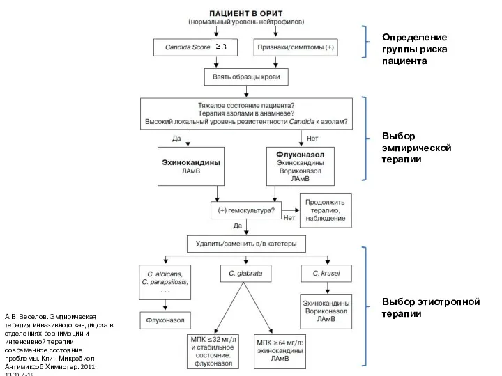 А.В. Веселов. Эмпирическая терапия инвазивного кандидоза в отделениях реанимации и