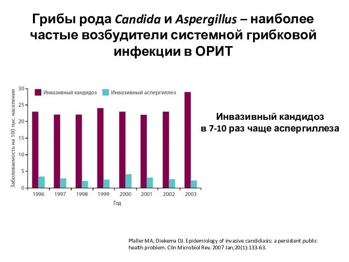 Грибы рода Candida и Aspergillus – наиболее частые возбудители системной