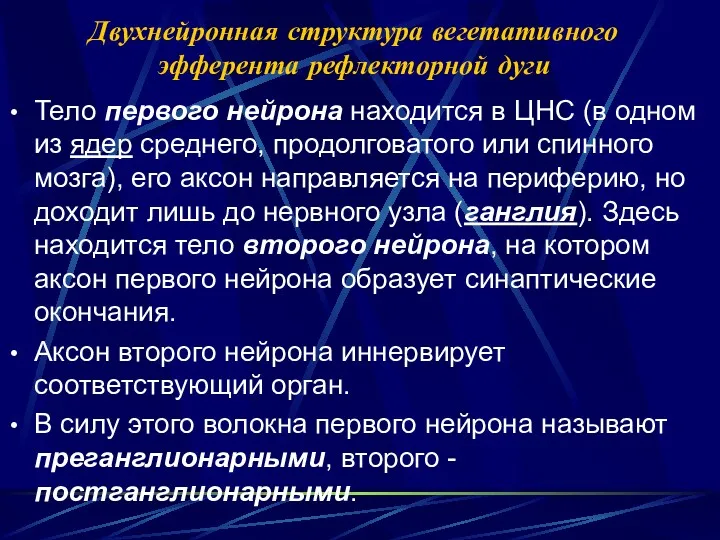 Двухнейронная структура вегетативного эфферента рефлекторной дуги Тело первого нейрона находится