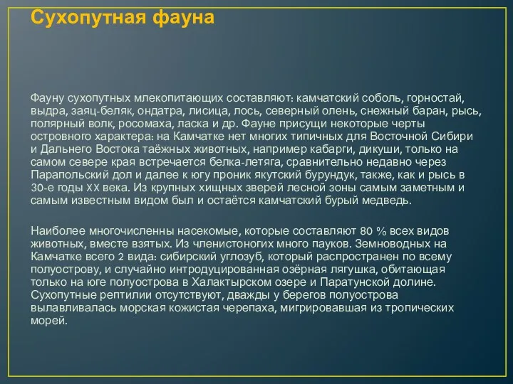 Сухопутная фауна Фауну сухопутных млекопитающих составляют: камчатский соболь, горностай, выдра,