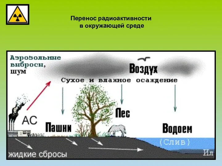 Перенос радиоактивности в окружающей среде