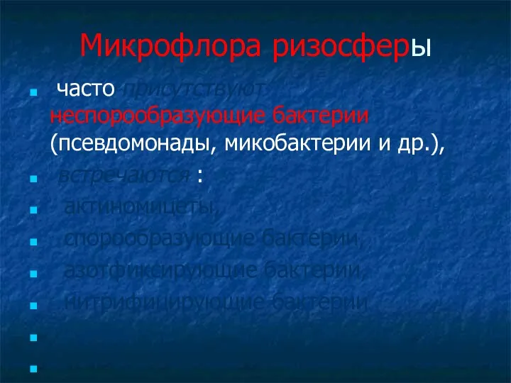 Микрофлора ризосферы часто присутствуют неспорообразующие бактерии (псевдомонады, микобактерии и др.),