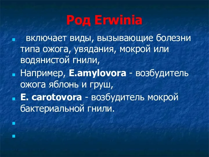 Род Erwinia включает виды, вызывающие болезни типа ожога, увядания, мокрой