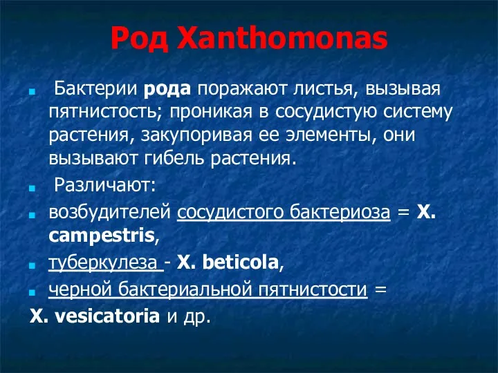 Род Xanthomonas Бактерии рода поражают листья, вызывая пятнистость; проникая в