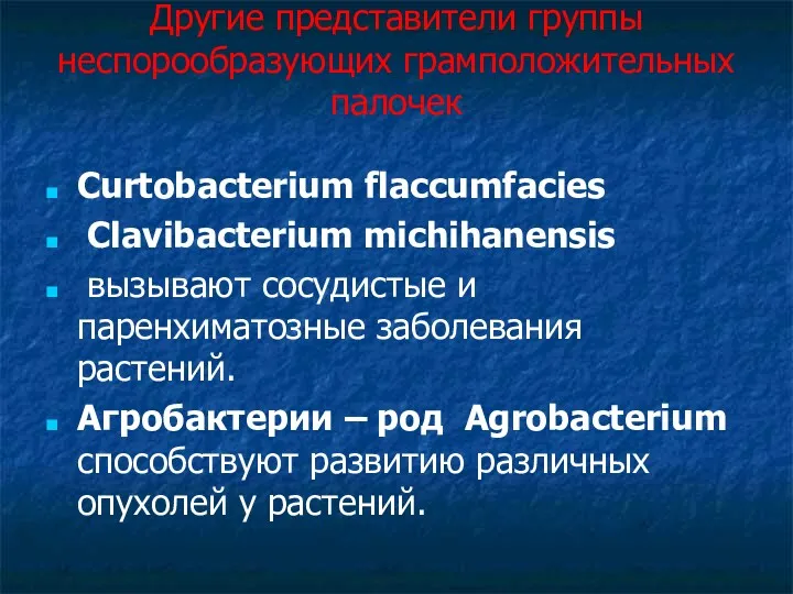 Другие представители группы неспорообразующих грамположительных палочек Curtobacterium flaccumfacies Clavibacterium michihanensis