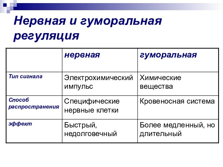 Нервная и гуморальная регуляция