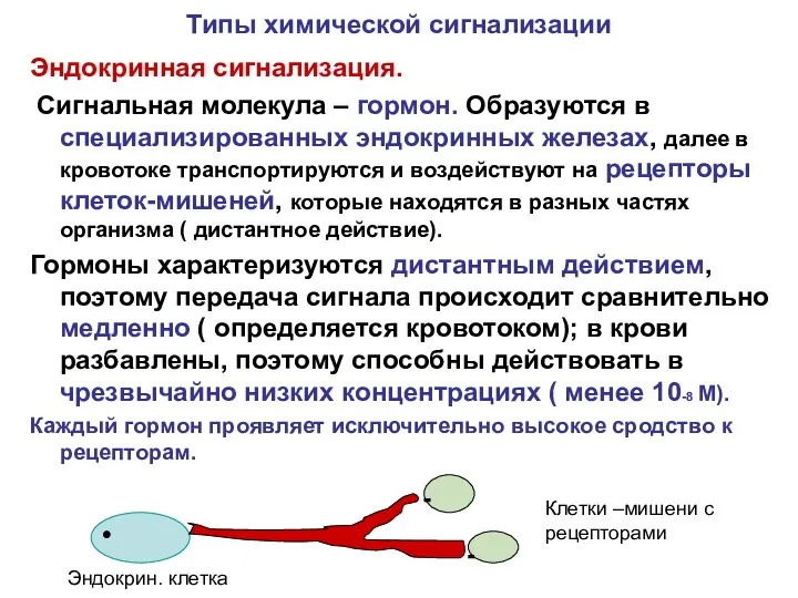 Типы химической сигнализации Эндокринная сигнализация. Сигнальная молекула – гормон. Образуются