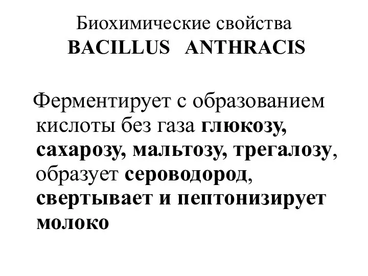 Биохимические свойства BACILLUS ANTHRACIS Ферментирует с образованием кислоты без газа