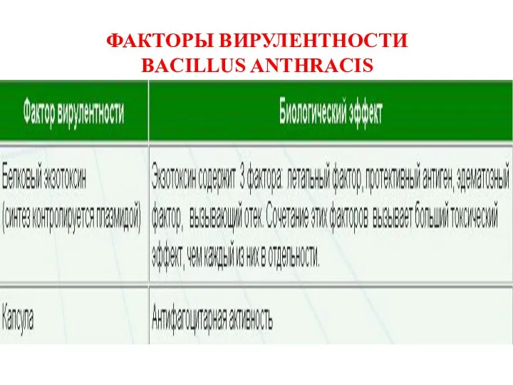 ФАКТОРЫ ВИРУЛЕНТНОСТИ BACILLUS ANTHRACIS