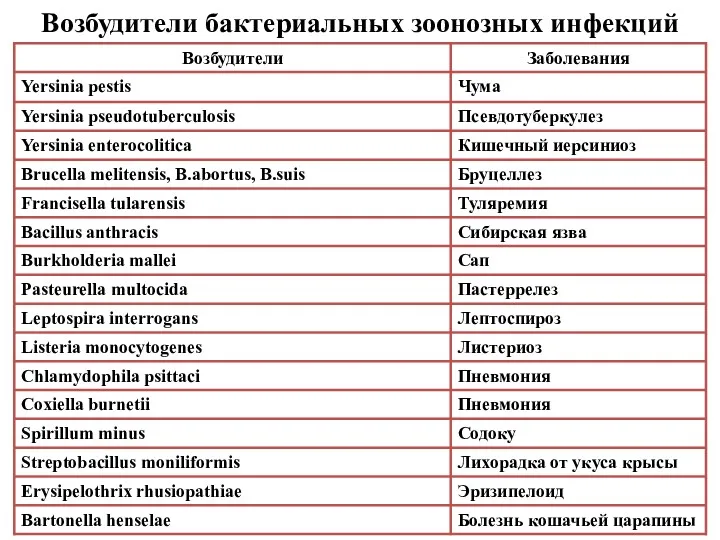 Возбудители бактериальных зоонозных инфекций