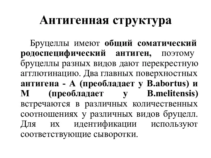 Антигенная структура Бруцеллы имеют общий соматический родоспецифический антиген, поэтому бруцеллы