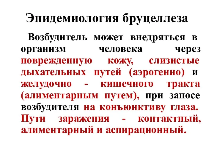 Эпидемиология бруцеллеза Возбудитель может внедряться в организм человека через поврежденную