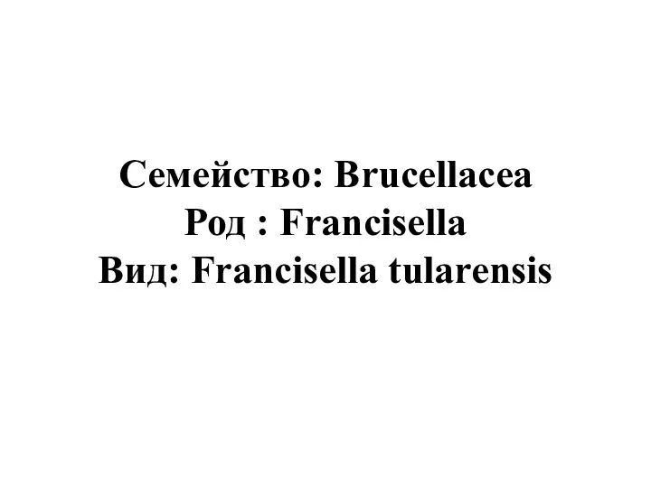 Семейство: Brucellacea Род : Francisella Вид: Francisella tularensis