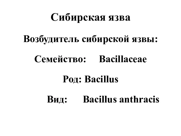 Сибирская язва Возбудитель сибирской язвы: Семейство: Bacillaceae Род: Bacillus Вид: Bacillus anthracis