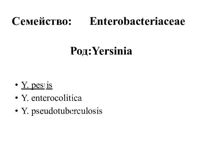 Род:Yersinia Y. pestis Y. enterocolitica Y. pseudotuberculosis Семейство: Enterobacteriaceae Genus Escherichia